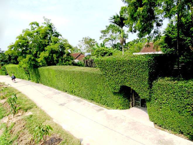Ngắm những chiếc cổng nhà thơ mộng từ cây xanh